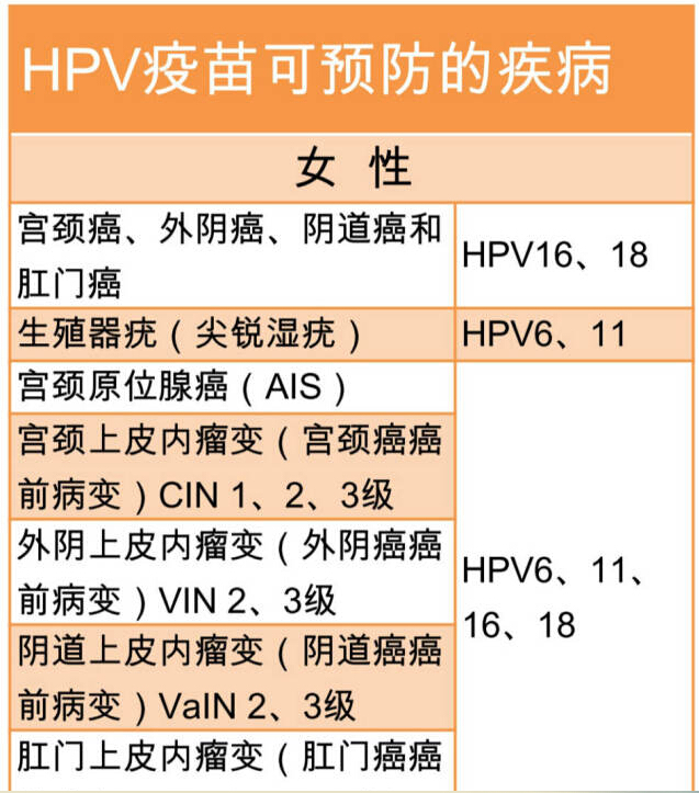 HPV疫苗预防疾病